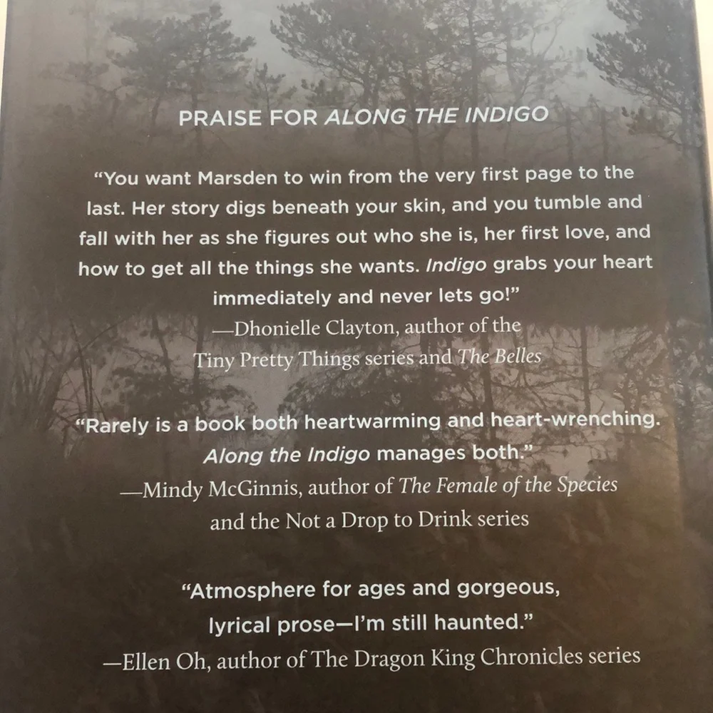 Along The Indigo by Elsie Chapman Hardcover Book